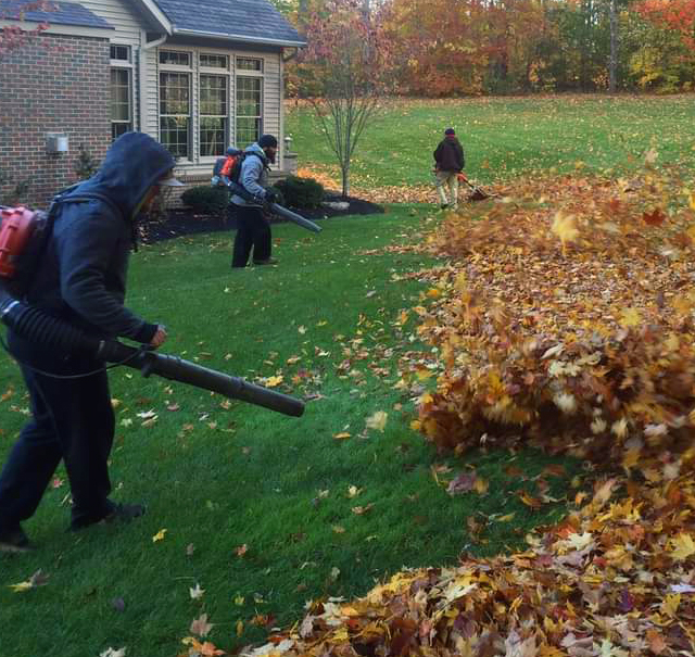 The Leaf Clean Up Pros