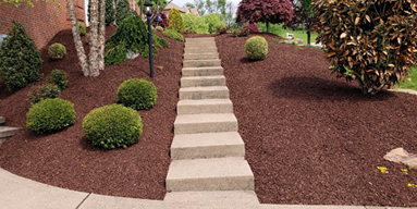 The Leaf Clean Up Pros