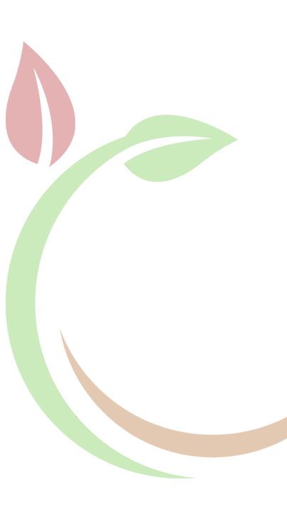 The Leaf Clean Up Pros