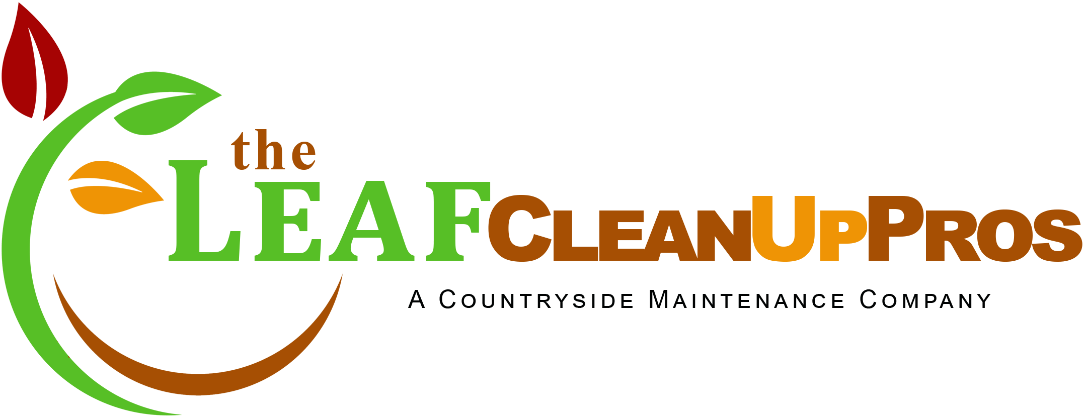 The Leaf Clean Up Pros