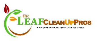 The Leaf Clean Up Pros